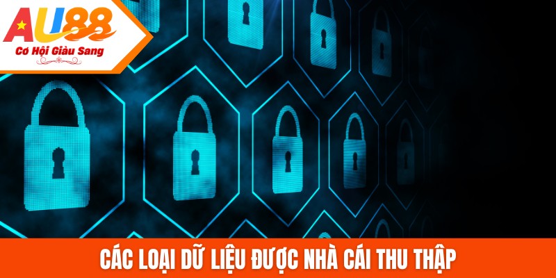 Các loại dữ liệu được nhà cái thu thập