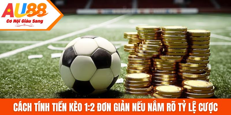 Cách tính tiền kèo 1:2 đơn giản nếu nắm rõ tỷ lệ cược