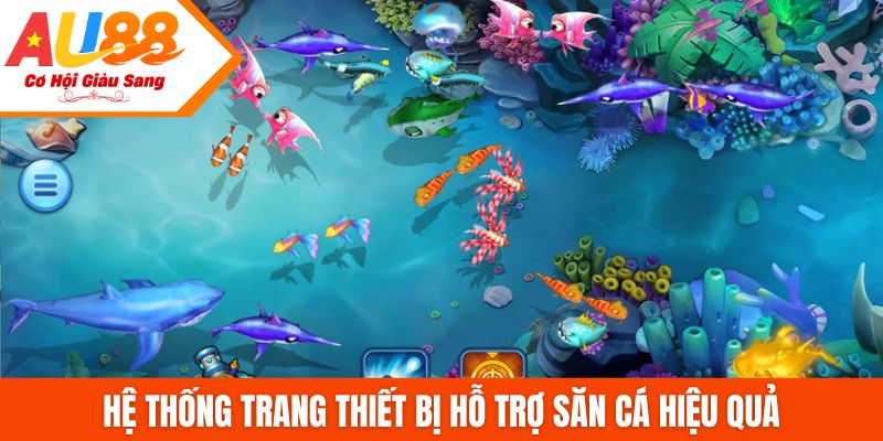 Hệ thống trang thiết bị hỗ trợ săn cá hiệu quả