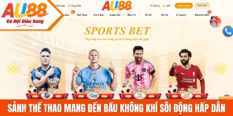 Sảnh thể thao mang đến bầu không khí sôi động hấp dẫn